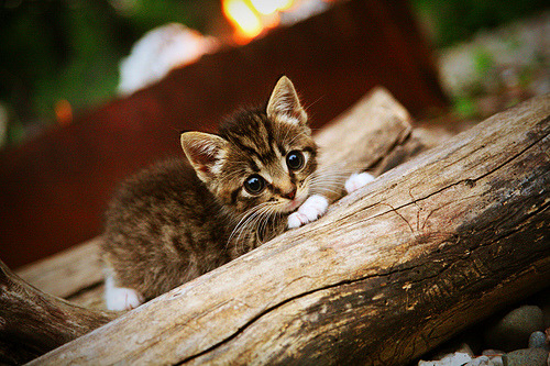 幻影防线，当伊拉克的坚韧遇见几内亚的潮汐，斯通斯持续制造杀伤的战术密码