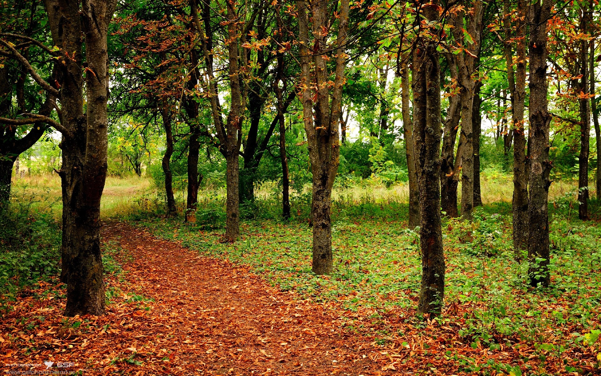 看到你的关键词，一个既能攻城拔寨又能构筑防线的全能战士形象已跃然纸上。这确实是一场值得大书特书的表演