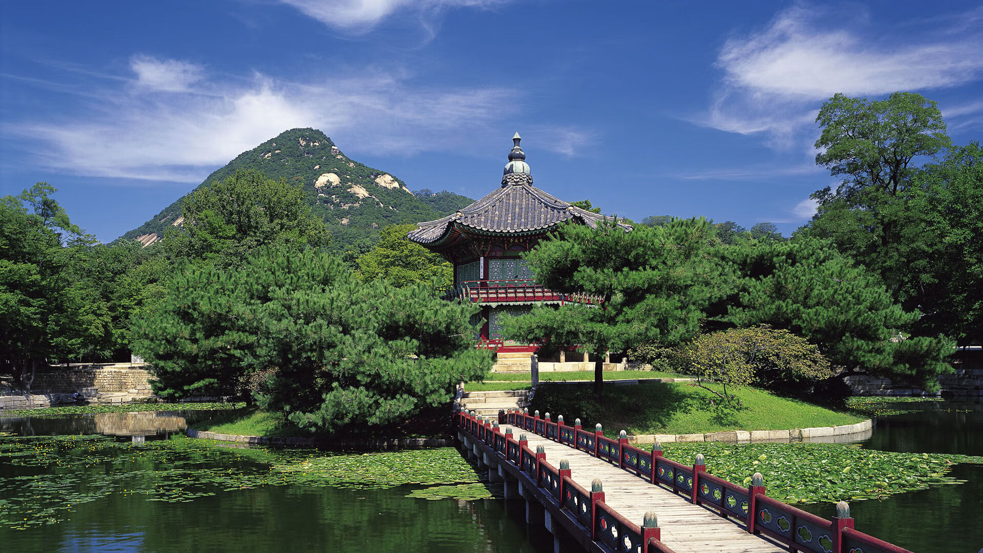 跨界战神同频！猛龙客场斩浙江，克莱式时刻闪耀英超争冠