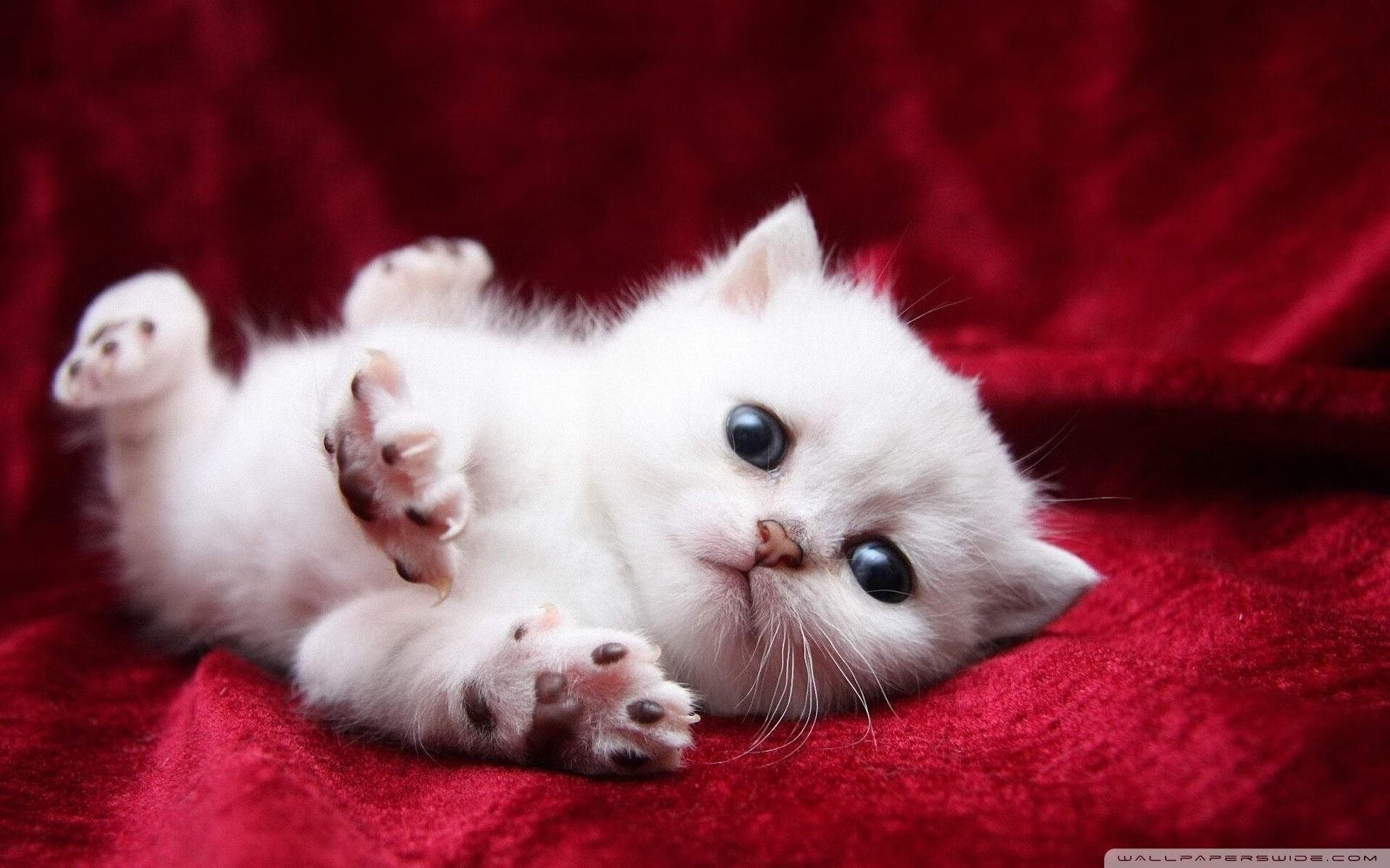 封神之战！克莱答案觉醒，高能输出逆转乾坤，奇才终结六连败