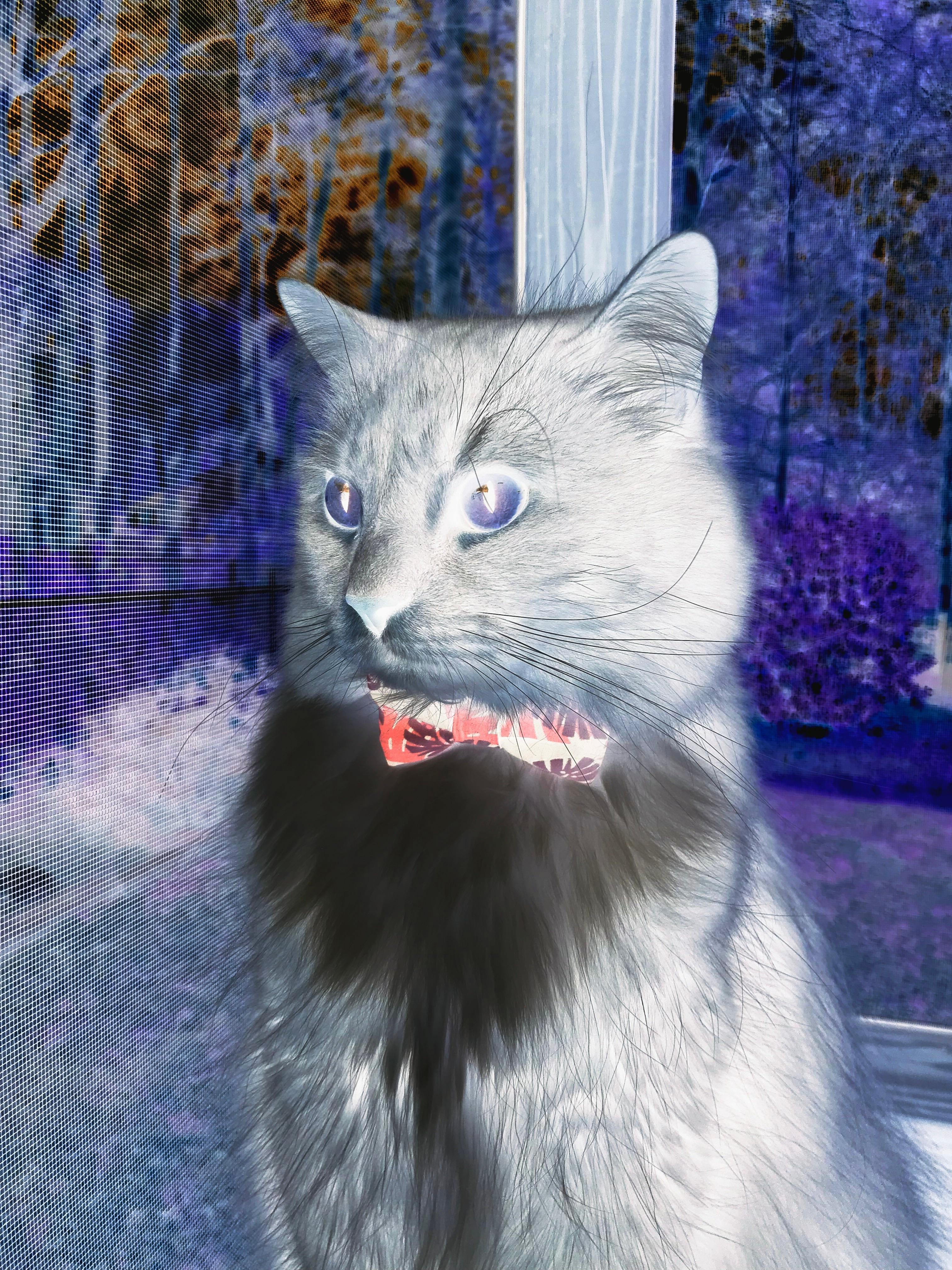 开拓者燃爆辽宁主场，当爱德华兹的火焰席卷东方赛场