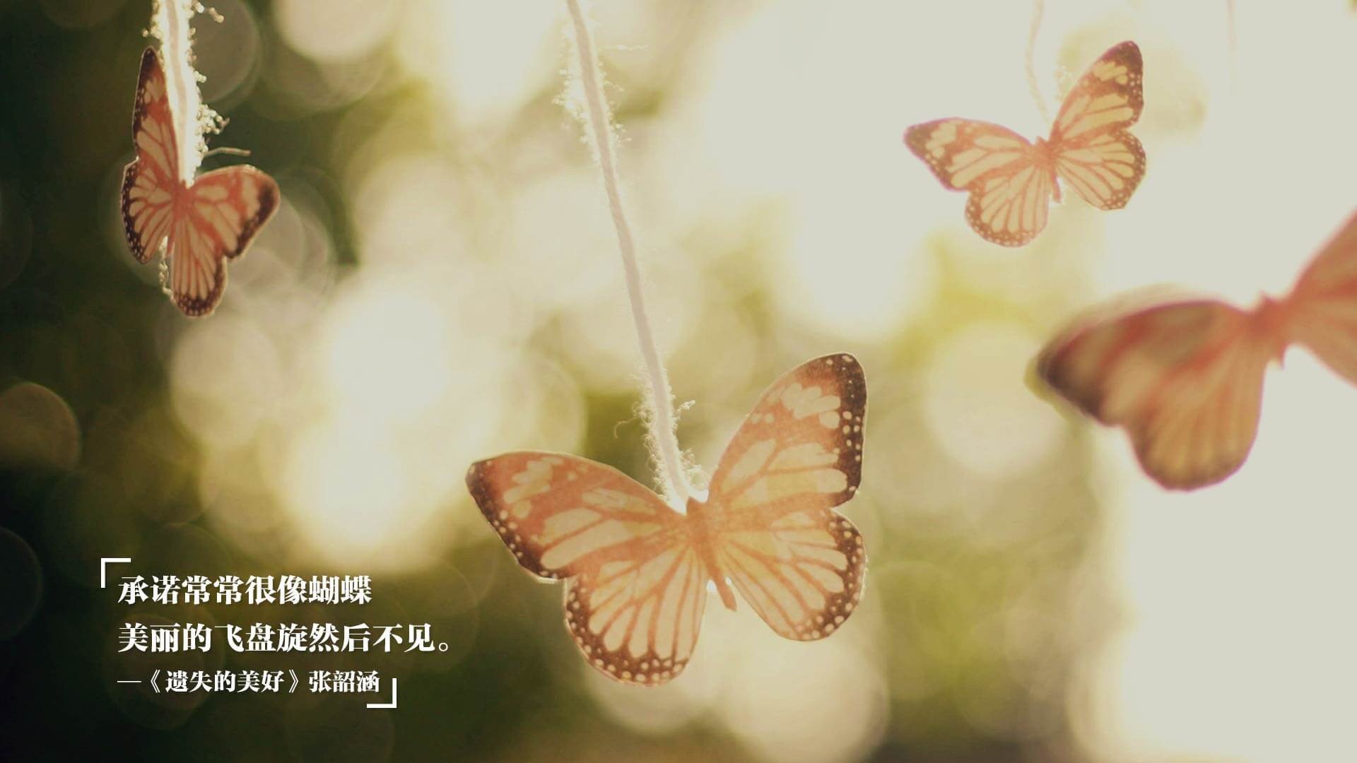 跨越东西部，天赋与团队的交响，当森林狼的狂暴遇上文班亚马的统治